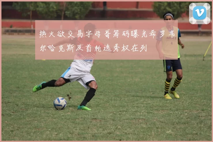 热火欲交易字母哥筹码曝光希罗韦尔哈克斯及首轮选秀权在列