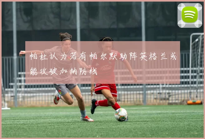 帕杜认为若有帕尔默助阵英格兰或能攻破加纳防线